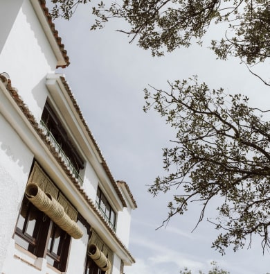 Ventanales el balcón del rey